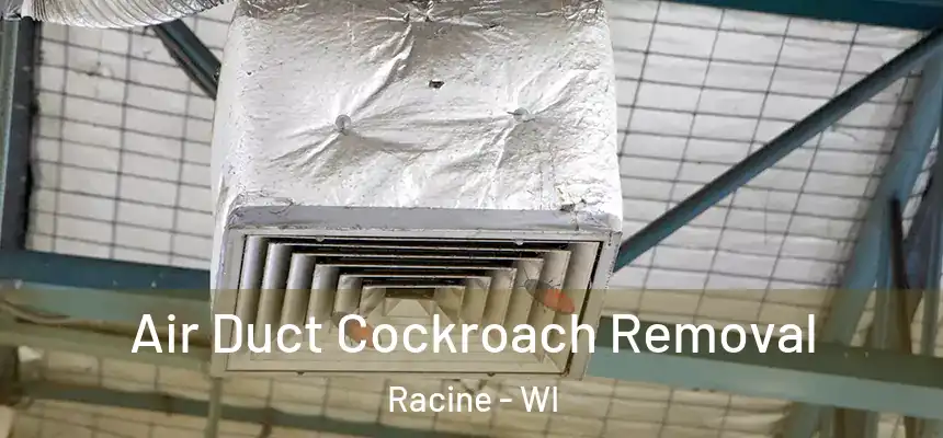 Air Duct Cockroach Removal Racine - WI