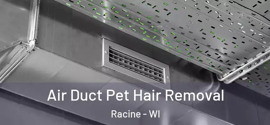  Air Duct Pet Hair Removal Racine - WI