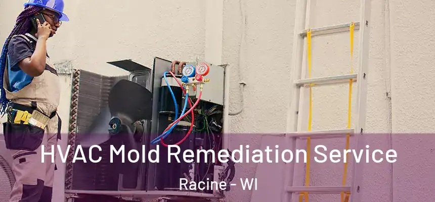  HVAC Mold Remediation Service Racine - WI