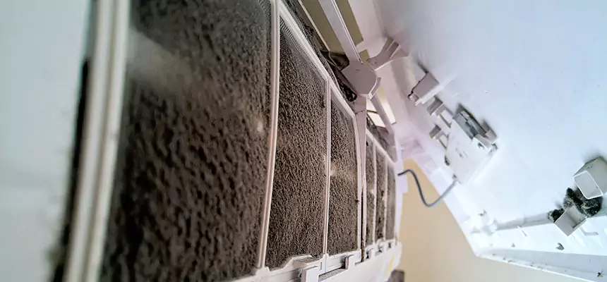 Preventive Air Duct Bacteria Removal in Racine