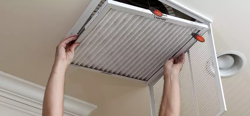 Our Insect Removal from Air Ducts Services in Racine, WI