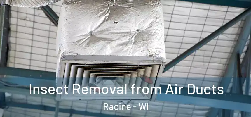  Insect Removal from Air Ducts Racine - WI