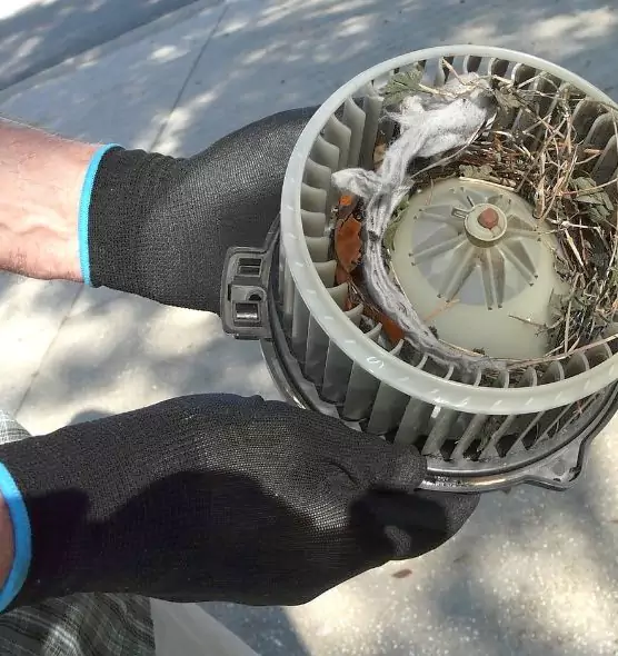 About Air Duct Mice Removal in Racine, WI