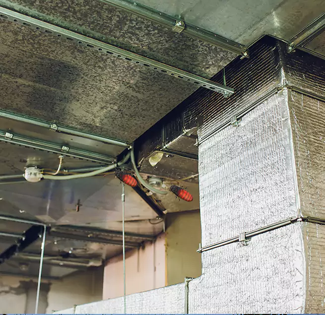 Why Homeowners & Businesses Trust Us in Racine, WI?